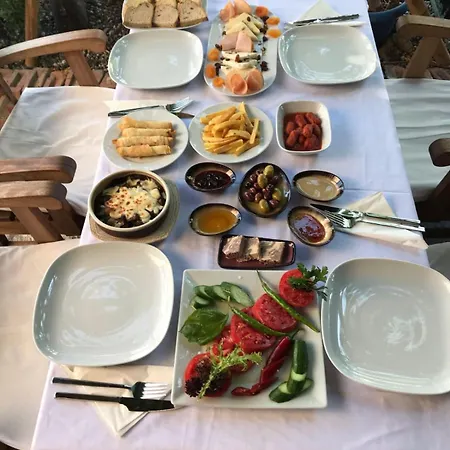 Hotell Olivia Ortaca (Mugla)